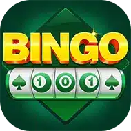 Bingo101 app complete guide showing features, APK download and Android support.