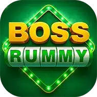 Bingo101 app complete guide showing features, APK download and Android support.